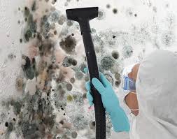 Best Mold Remediation for Healthcare Facilities  in Coleman, TX